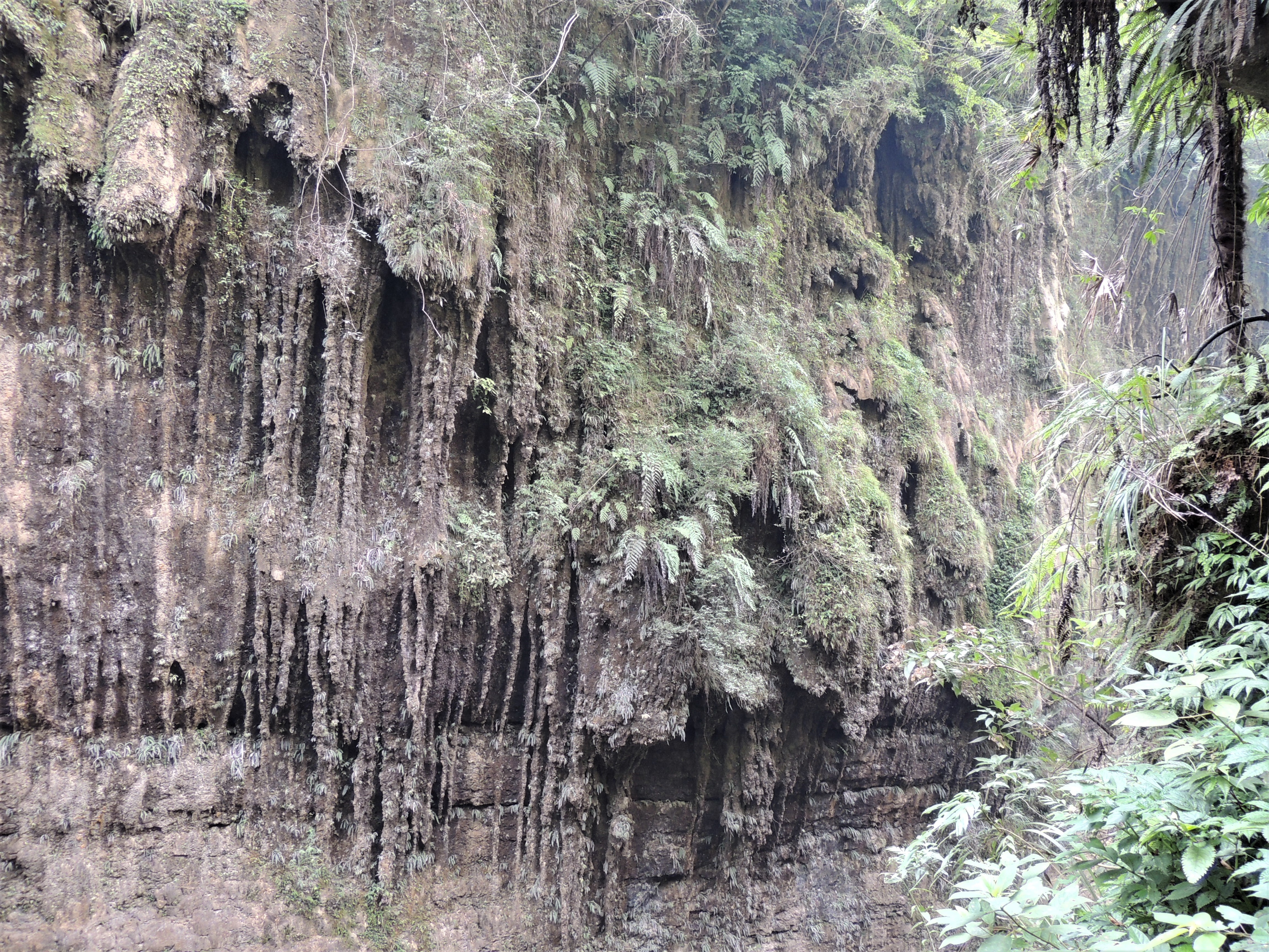游山玩水在湘鄂-恩施大峡谷云龙河地缝