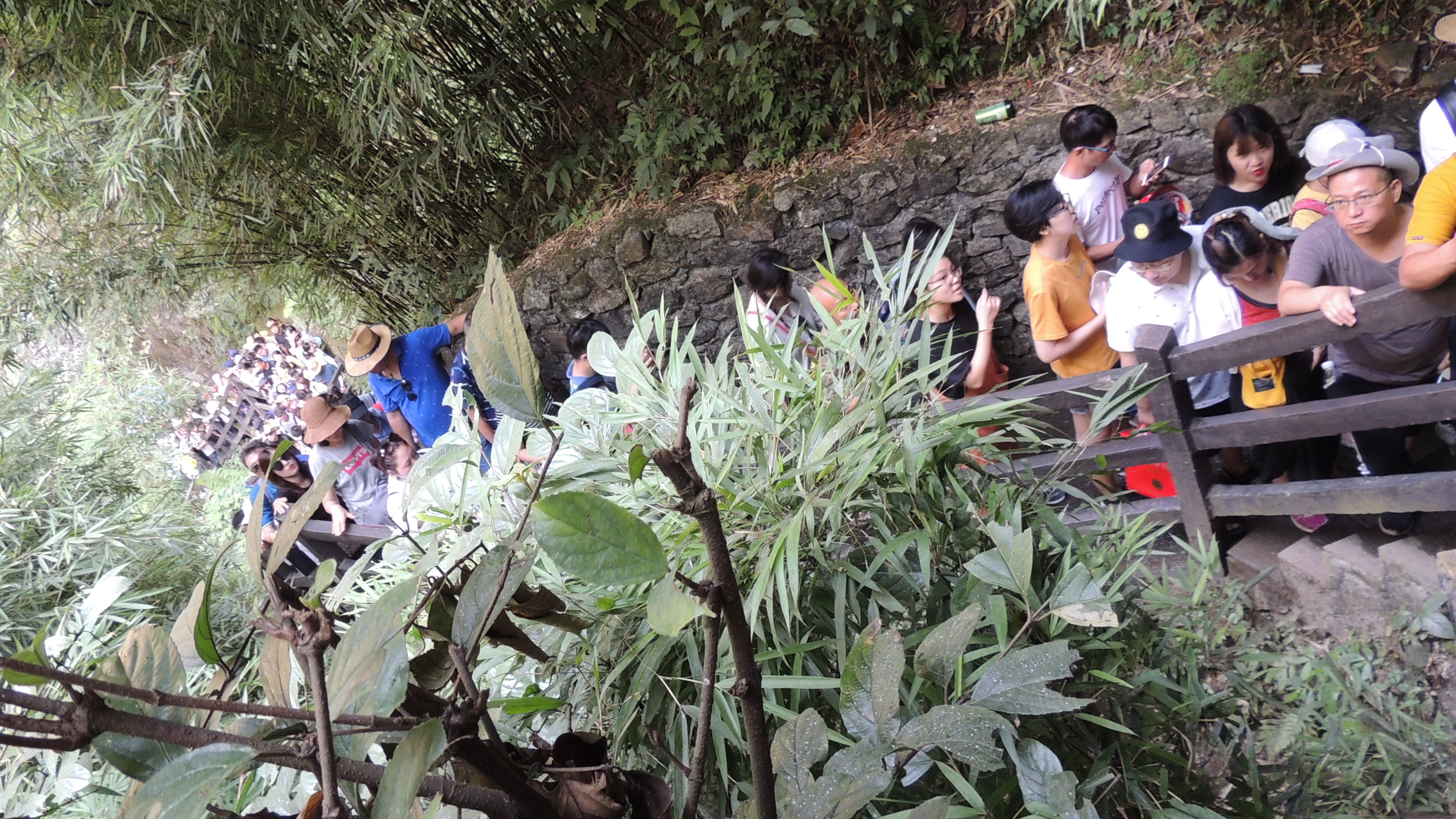 游山玩水在湘鄂-恩施大峡谷云龙河地缝