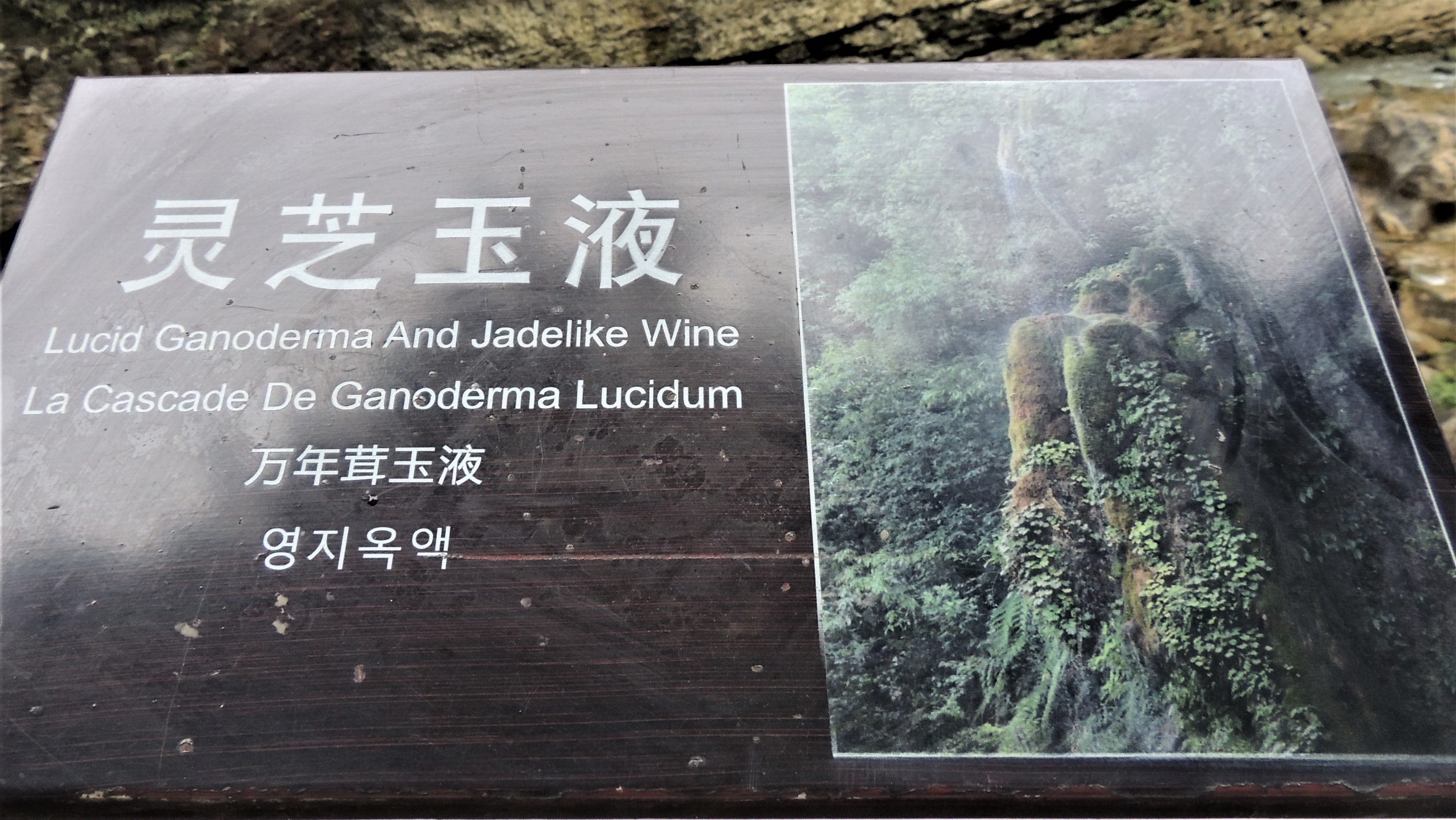 游山玩水在湘鄂-恩施大峡谷云龙河地缝