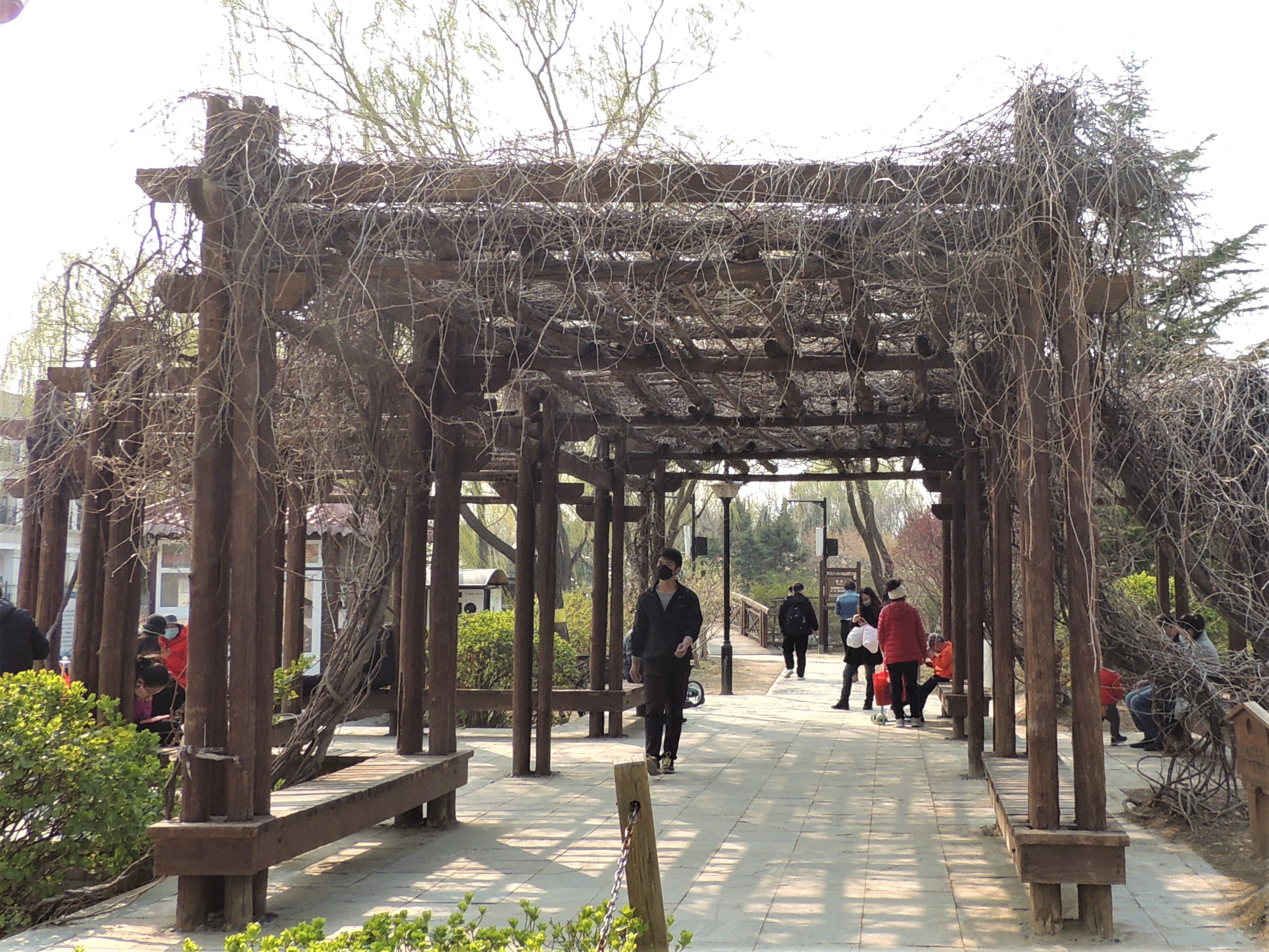 京城游-古塔公园