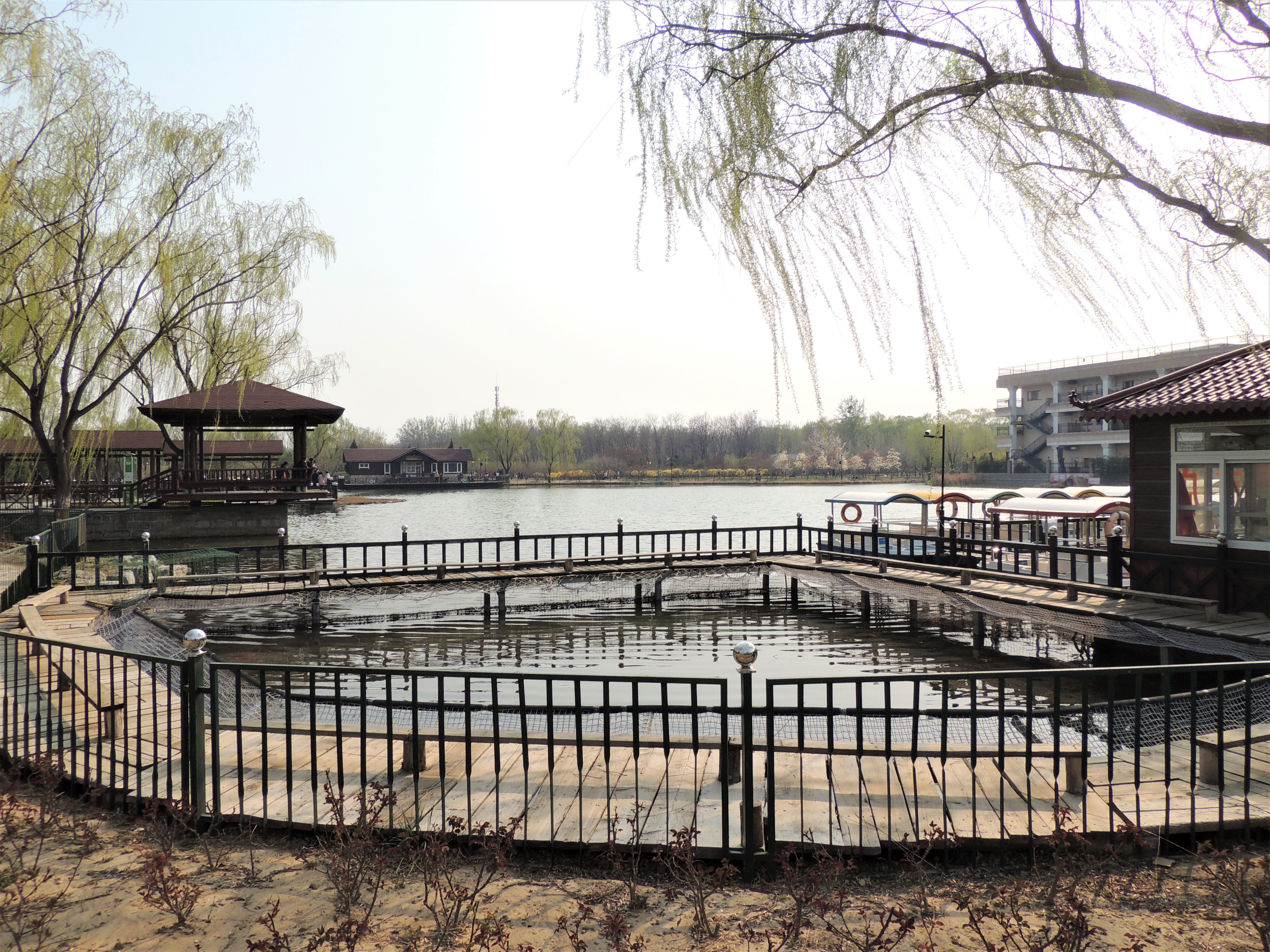 京城游-古塔公园