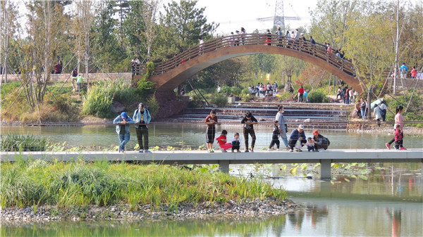 京城游-北京温榆河公园